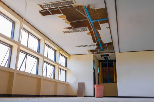 Best Water damage contractors near me  in Walnut Creek, NC