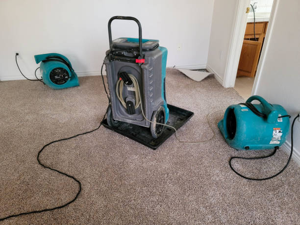 Best Professional water damage repair  in Walnut Creek, NC