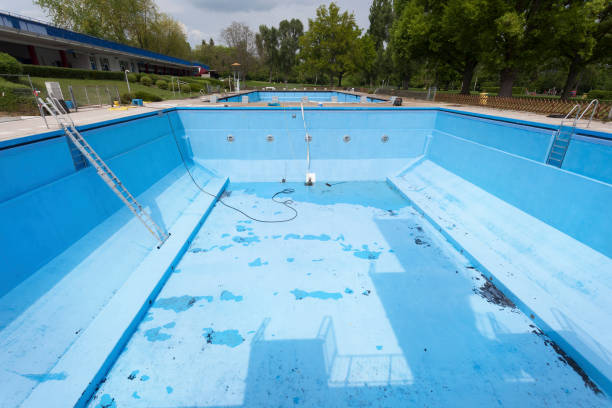 Best Water damage contractors near me  in Walnut Creek, NC