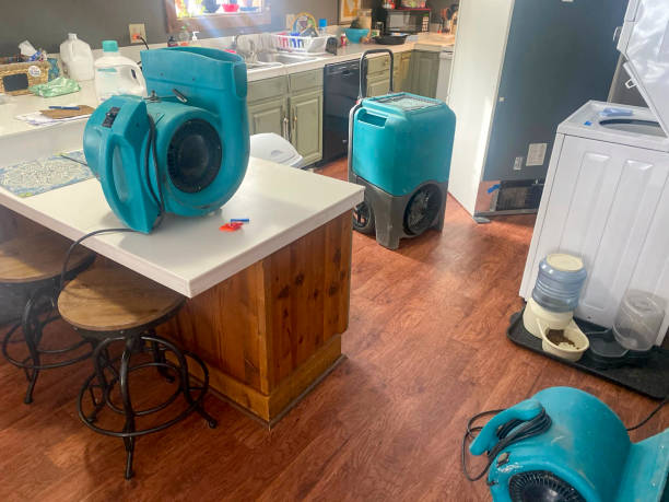 Best Water damage cleanup near me  in Walnut Creek, NC