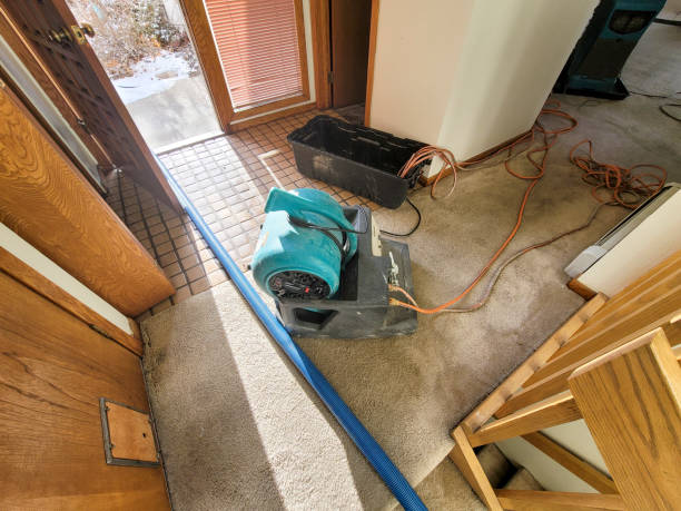 Best 24-hour water damage restoration  in Walnut Creek, NC