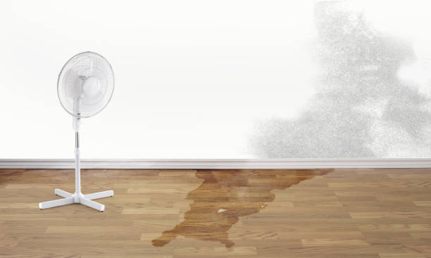 Best Flood restoration services  in Walnut Creek, NC